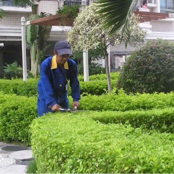 專業(yè)園林綠地養(yǎng)護(hù)托管公園綠化道路綠化養(yǎng)護(hù)托管