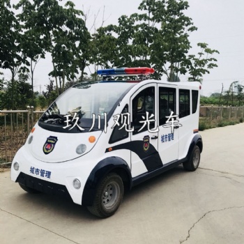 6座全封閉電動巡邏觀光車