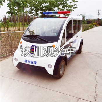 6座全封閉電動巡邏車