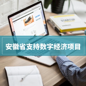2020年安徽省支持數(shù)字經(jīng)濟15類項目申報條件條件解讀