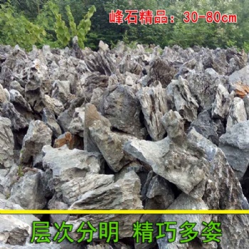 廣州景區別墅用精品峰石魚池噴泉假山石