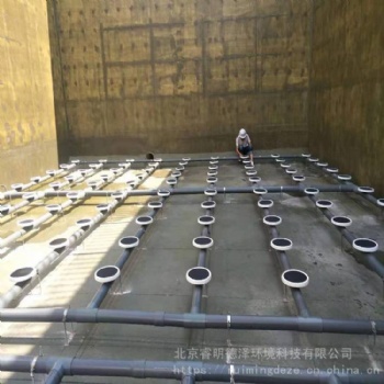 德國盤式曝氣器 進口盤式曝氣器 水處理盤式微孔曝氣器