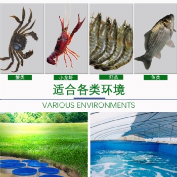 惠州市拓翔帆布魚池水箱，防火耐寒，防靜電安全環(huán)保魚蝦養(yǎng)