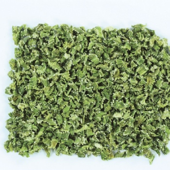 脫水芹菜粒 芹菜葉 脫水蔬菜 廠家 琦軒食品