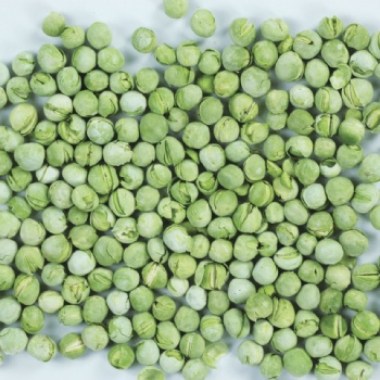 脫水FD青豆 豌豆 凍干蔬菜 脫水蔬菜 廠家 琦軒食品