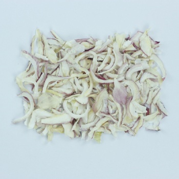 脫水洋蔥片 大西北洋蔥 脫水蔬菜 琦軒食品 廠家