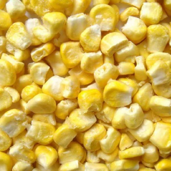 脫水玉米 FD玉米 脫水蔬菜 琦軒食品
