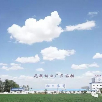 新疆奶業(yè)廠家可OEM駱駝奶粉代加工驢奶粉代加工馬奶粉代加工羊奶粉代加工