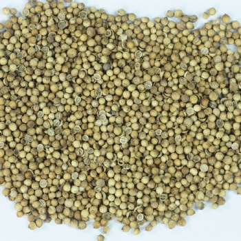 芫荽粉 香菜籽粉 實力廠家 調味品香辛料 廠家 琦軒食品 廣東東莞