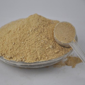 黨參粉 調味品香辛料 量大優惠 廠家 琦軒食品
