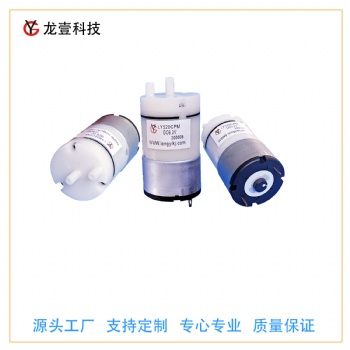 深圳龍壹供應電動吸奶器真空泵靜音迷你型隔膜氣體采集泵520可定制