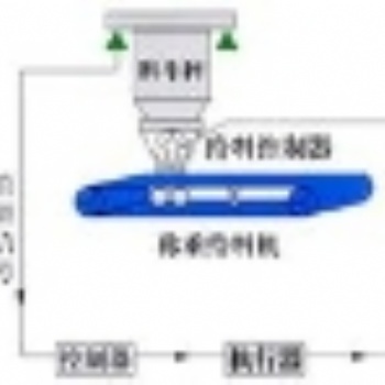 紅果柏果LCS料斗電子秤