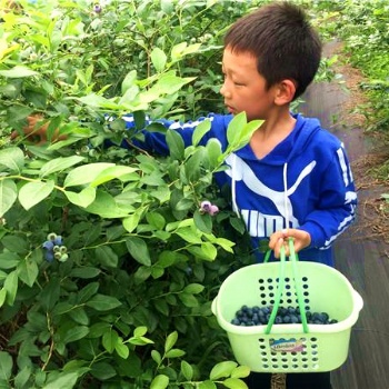 長沙縣開慧錫福羅王古寨生態(tài)農(nóng)莊旅游