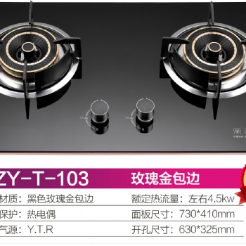 家用燃氣灶具、廚衛(wèi)電器，