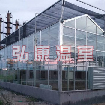 弘康溫室 智能溫室、玻璃連棟溫室建設