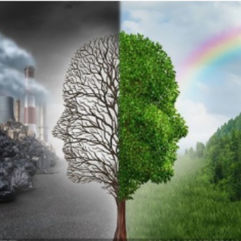 ISO14001認證咨詢費用-環境標準的七個實質性變化