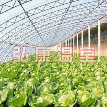 溫室大棚工程，果蔬溫室大棚、塑料薄膜溫室大棚建設，溫室配套設施