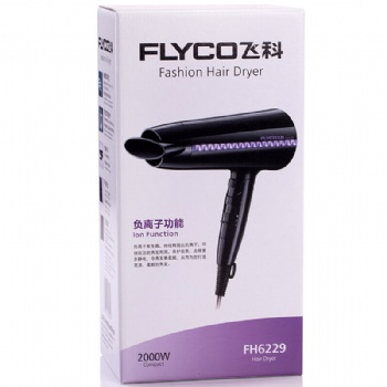 飛科 家用電吹風(fēng)機 FH6229