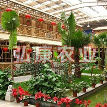 青州市弘康溫室生態(tài)餐廳