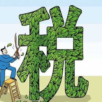 山東企業如何利用分公司和子公司合理避稅
