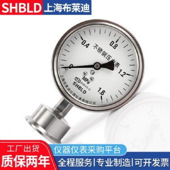 Y100BT/Z/SR/MF(316)7a-1Mpa布萊迪隔膜壓力表
