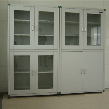 實(shí)驗(yàn)室藥品柜 藥品柜批發(fā) 廠家