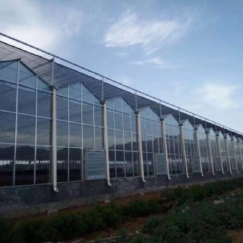 智慧農(nóng)業(yè) 新型種植大棚建造