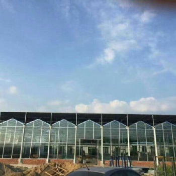 智能環保溫室大棚 山東濰坊發源地