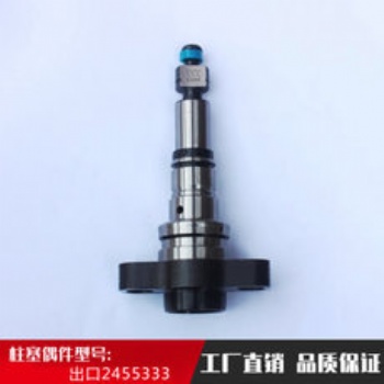 出口型號柱塞偶件總成
