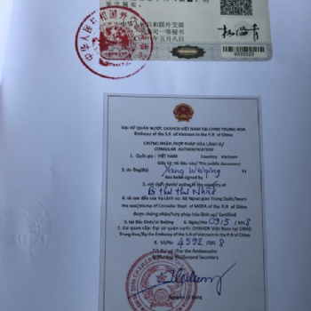 專業(yè)辦理審計(jì)報(bào)告越南使館認(rèn)證，越南使館加簽，越南認(rèn)證