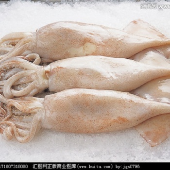 海鮮進(jìn)口，不得不知的**過(guò)程！報(bào)關(guān)報(bào)檢
