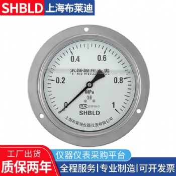 布萊迪YCSH/YCS-100測無腐蝕性非結晶凝固雙針壓力表