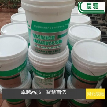 河北辰馳（CC-161)室內(nèi)膨脹型鋼結(jié)構(gòu)防火涂料生產(chǎn)廠家