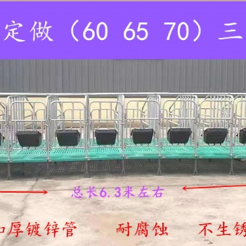 母豬限位欄 加寬加高可定制 畜牧養殖設備