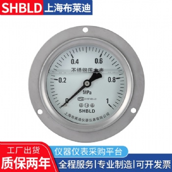 布萊迪YPF-100B-Z不銹鋼耐震膜片壓力表
