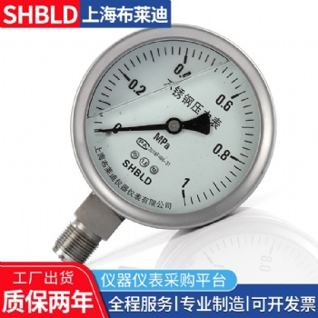 布萊迪YPF-1**膜片壓力表