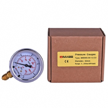 DMASS壓力表MBB06B-250-1-Z-Z-Z充液抗震25mpa側(cè)接