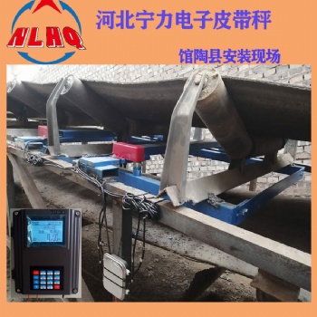 寧力電子皮帶秤NL200