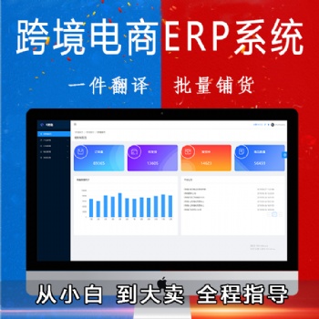 亞馬遜培訓教學ERP系統數據私有化獨立部署ERP系統OEM貼牌招商孵化體系搭建
