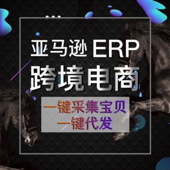 山東亞馬遜教學培訓ERP系統數據私有化獨立部署體系搭建ERP系統OEM貼牌招商孵化