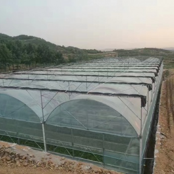 山東蔬菜大棚建設廠家 日光溫室 薄膜大棚