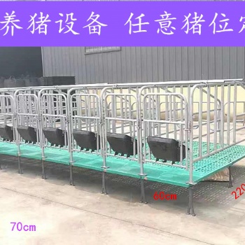 限位欄 母豬限位欄 畜牧養殖機械設備
