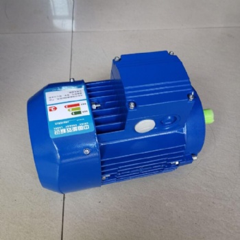 紫光MS二級三相異步電動機