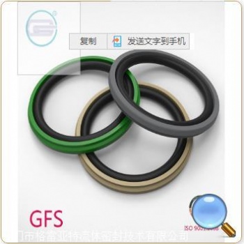 PTFE密封件，耐磨，耐高溫