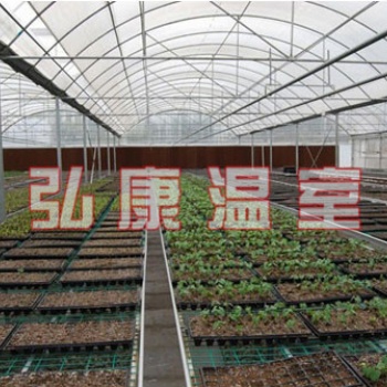 青州弘康育苗連棟溫室
