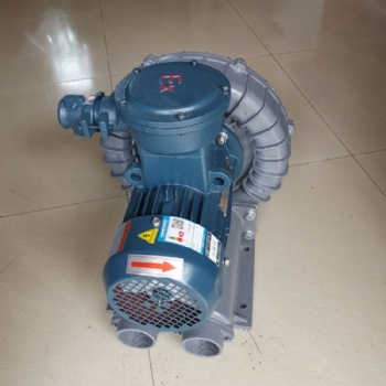 油氣回收防爆鼓風機