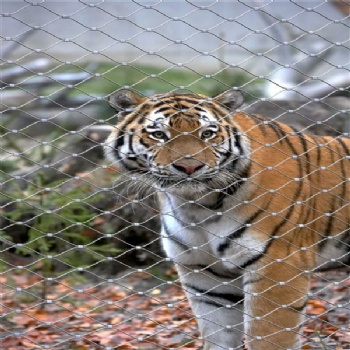動物圍欄,動物園用網,動物籠舍網