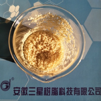 D113離子交換樹脂
