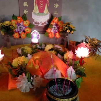 杭州念尼噢寵物火化殯葬服務，24小時上門接，距離近，口碑好