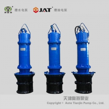 污水處理大型雨水排污泵_使用注意事項_安裝